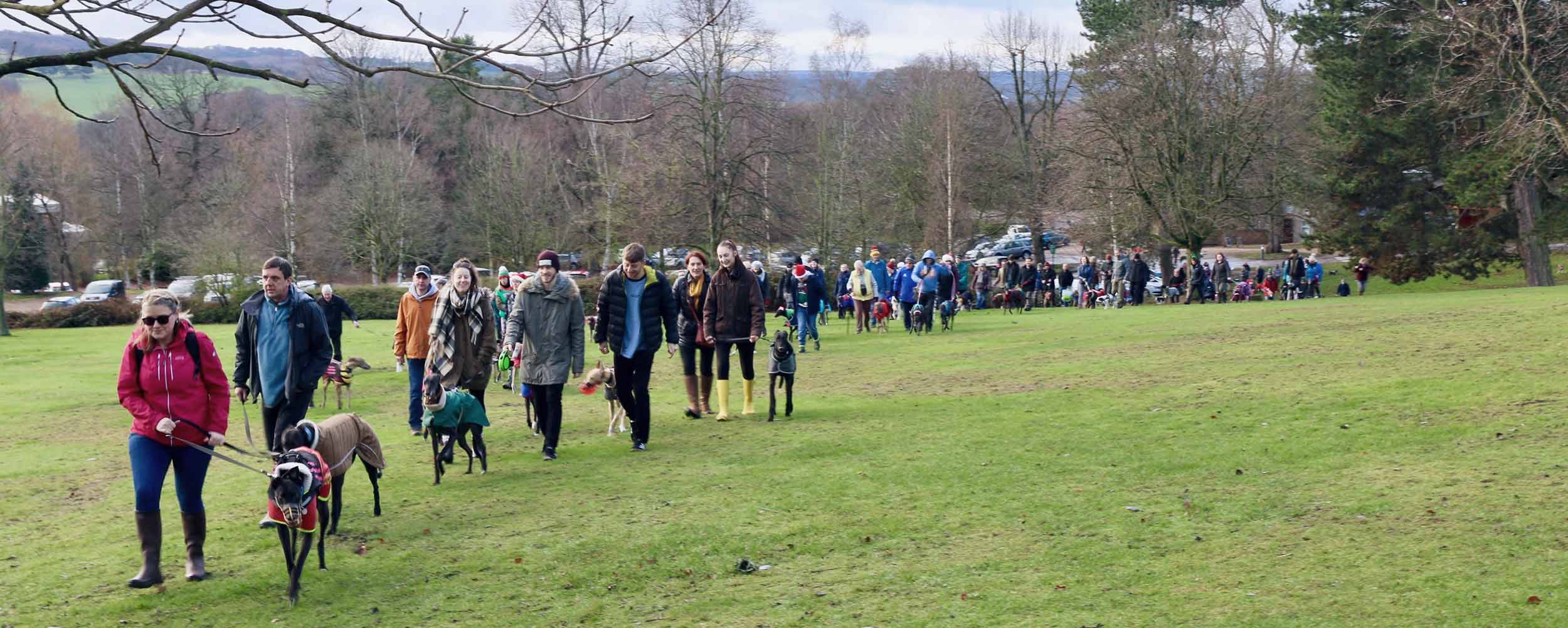 Santa Paws walk at Yorkshire Sculpture Park